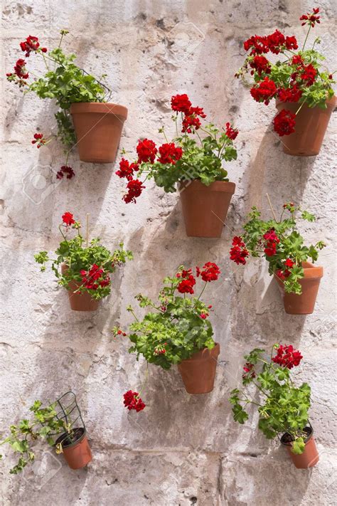 metal window ornament with flowers in italian houses|italian wall garden.